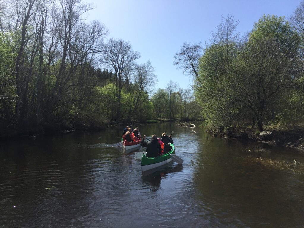 474329040 966592168855293 3931769068624204723 n