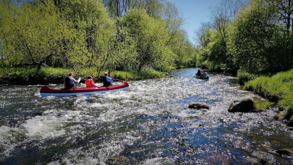 488622455 1588389028531929 4153105694022217269 n