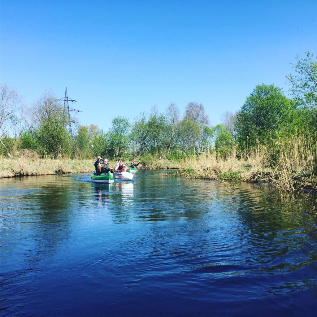 59407984 326021561435355 3821270486726213632 n