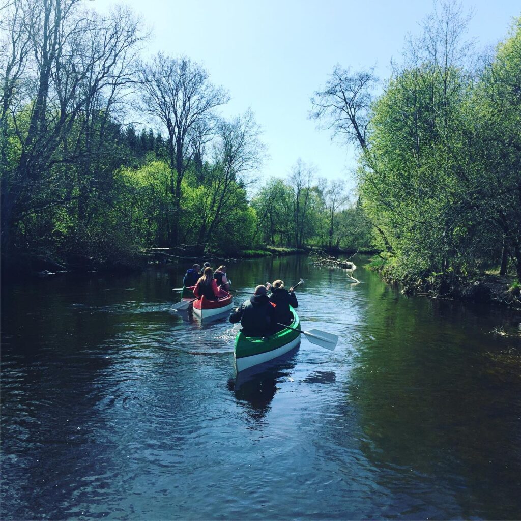 59588784 326021494768695 1088314085394612224 n